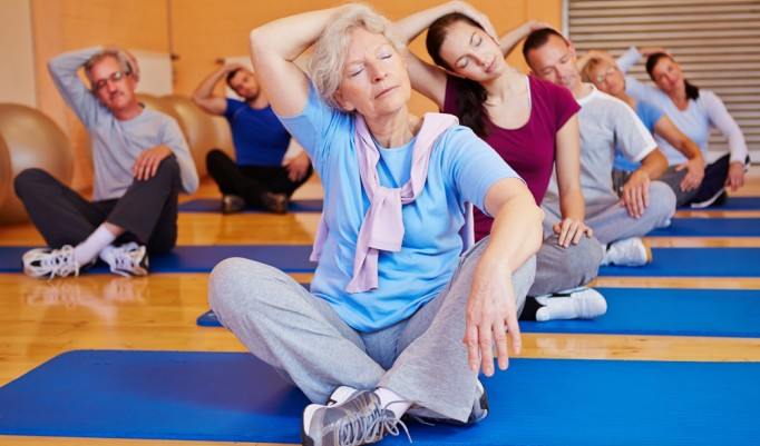 Wellness Yoga Kurs